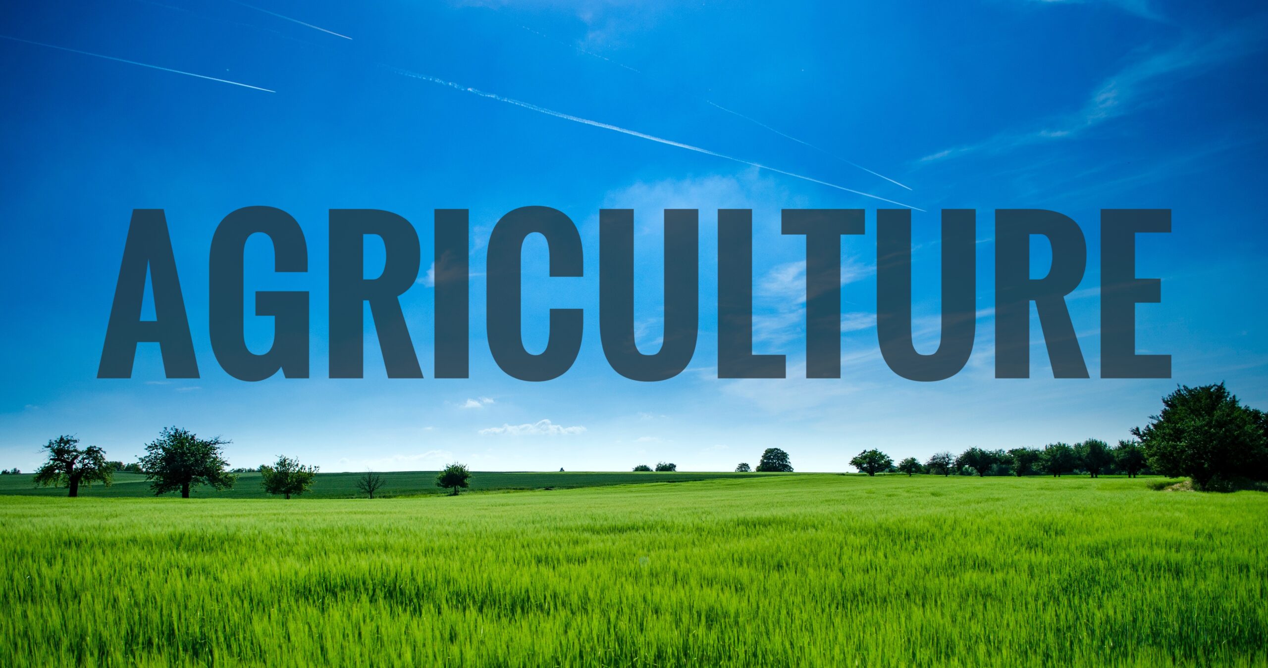 branches of agriculture - Myfarmspace.com